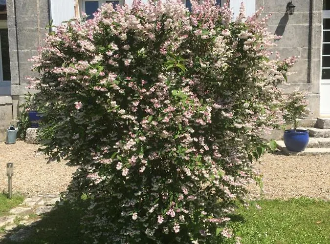 1854 Holiday home Chassors