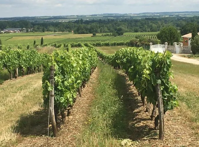 1854 Holiday home Chassors